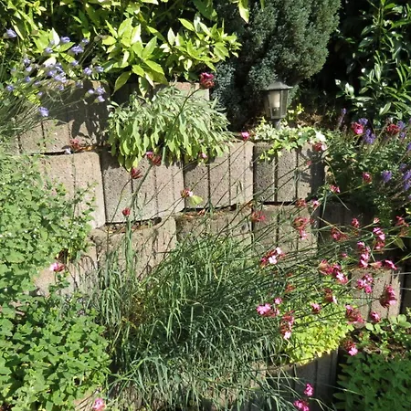 Later Comfortable Vacation *