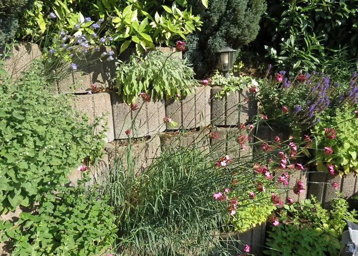 Later Comfortable Vacation *